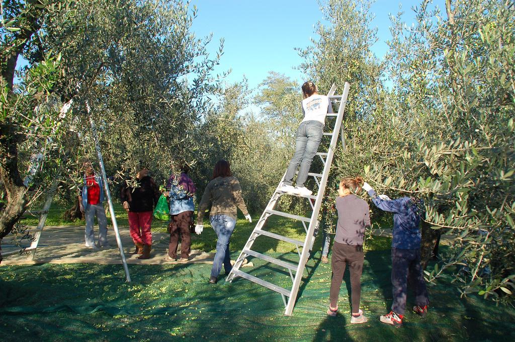 Il Podere Di Giustina Villa Montecarlo Exterior photo