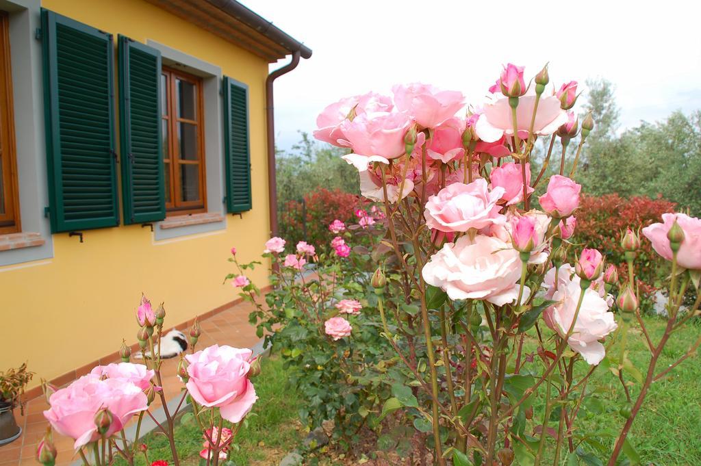 Il Podere Di Giustina Villa Montecarlo Exterior photo